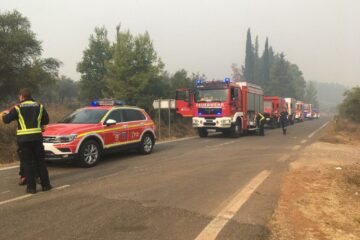 Kollone der Feuerwehrfahrzeuge in einem Wald voll Rauchschwaden