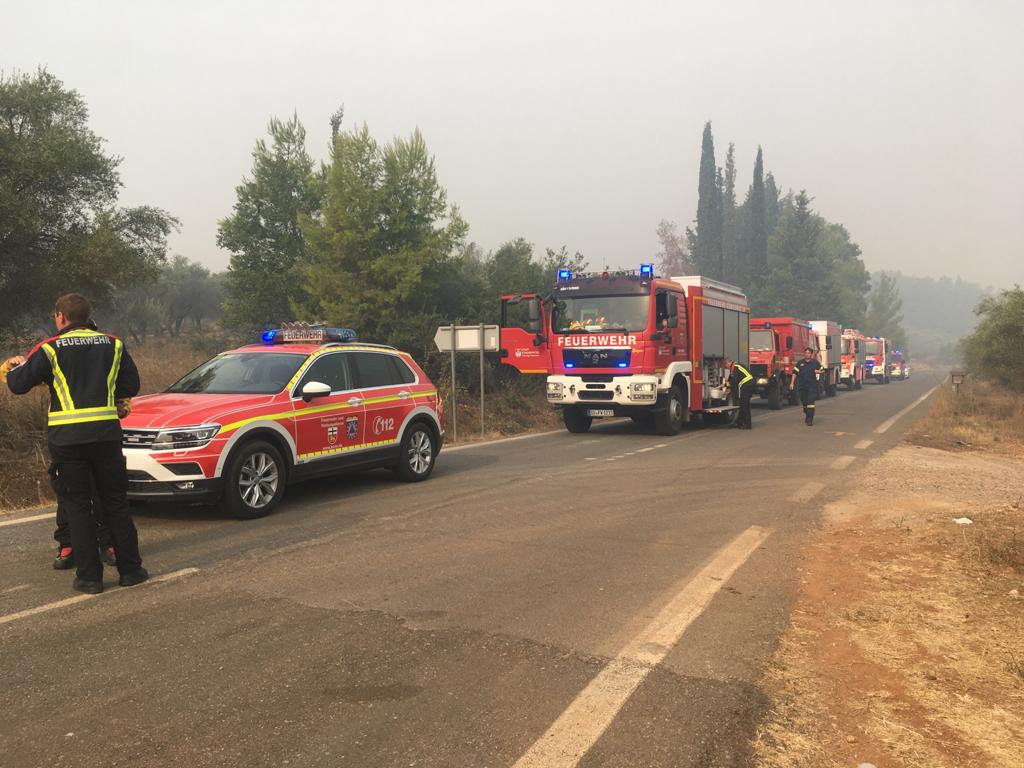 Kolonne der Feuerwehrfahrzeuge in einem Wald voll Rauchschwaden