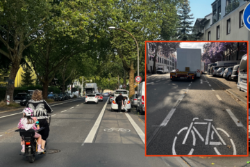 Straé bei Tageslicht. Ein e-Rad mit einer Frau und zwei Kindern fährt auf der Straße, da auf dem radschutzstreifen gleich zwei Autos parken.